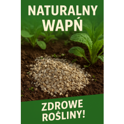 Muszle wapienne Oyta naturalny nawóz źródło wapnia 2 kg